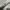Undefeated Streetwear Skater Hoody Pria gray photo 4