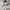 Undefeated Streetwear Skater Hoody Pria gray photo 2