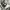 Undefeated Streetwear Skater Hoody Pria gray photo 3