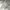 Undefeated Streetwear Skater Hoody Pria gray photo 7