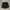 Adidas Streetwear Sportswear Short Pria black photo 2