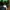 Reebok Casual Track jacket Pria green navy photo 4