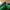 Reebok Casual Track jacket Pria green navy photo 2