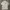 Adidas Streetwear Casual Polo Shirt Pria White