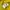 MLB Vintage Casual Sweatshirt Wanita yellow photo 6