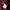 Casual Leather jacket Wanita burgundy photo 4