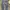 Dickies Vintage Grunge Casual pants Pria navy black photo 4
