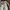 Japanese brand Y2K Sportswear Jersey Pria white photo 2