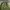 Vintage Streetwear Bomber jacket Pria green photo 3