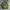 Vintage Streetwear Bomber jacket Pria green photo 8