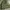 Vintage Streetwear Bomber jacket Pria green photo 4
