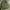Vintage Streetwear Bomber jacket Pria green photo 6