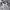 Mizuno Y2K Track jacket Pria white black photo 6