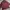 Vintage Casual Harrington jacket Pria red photo 5
