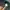 The North Face Casual Puffer jacket Pria green photo 4