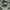 The North Face Casual Puffer jacket Pria green photo 3