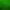 The North Face Casual Puffer jacket Pria green photo 5
