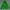 The North Face Casual Puffer jacket Pria green photo 1