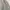 Topten Vintage Sweater Pria gray photo 3