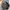 47 Brand Vintage Casual Hat Pria black photo 6