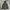 Uniqlo Gorpcore Sportswear Track jacket Pria green gray photo 6