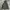 Uniqlo Gorpcore Sportswear Track jacket Pria green gray photo 1