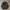 Adidas Streetwear Casual Puffer jacket Pria black photo 6