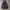 Adidas Streetwear Casual Puffer jacket Pria black photo 2