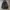 Adidas Streetwear Casual Puffer Jacket Pria Black