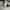 Nepenthes Streetwear Casual Formal shirt Pria white photo 5