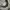 Nepenthes Streetwear Casual Formal shirt Pria white photo 6