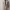 Vintage Casual Trench Coat Wanita Cream