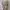 Vintage Casual Trench Coat Wanita Cream