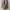 Trench coat Wanita tan photo 2