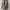 Trench Coat Wanita Tan
