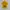 Streetwear T-shirt Wanita yellow photo 5