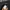 thisisneverthat Luxury Minimalist Sweater Pria black photo 4