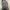 Adidas Streetwear Casual Sneakers Pria gray photo 6