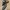 Adidas Streetwear Casual Sneakers Pria gray photo 4
