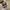 Adidas Streetwear Casual Sneakers Pria gray photo 7