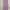 Stradivarius Casual Maxi Dress Wanita Purple
