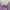 Stradivarius Casual Maxi Dress Wanita Purple
