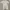 Zara Casual Kimono Kids White