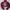 Biker Casual Hoody Wanita burgundy red photo 1