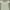 New Look Casual T-shirt Wanita green photo 1