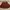 Casual Skirt Wanita burgundy red photo 1
