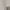 Zara Casual Casual dress Wanita white photo 3