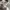 Adidas Casual Sneakers Kids white photo 4