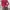 Casual Cardigan Wanita red photo 2