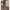Minimalist Culotte Wanita brown photo 1
